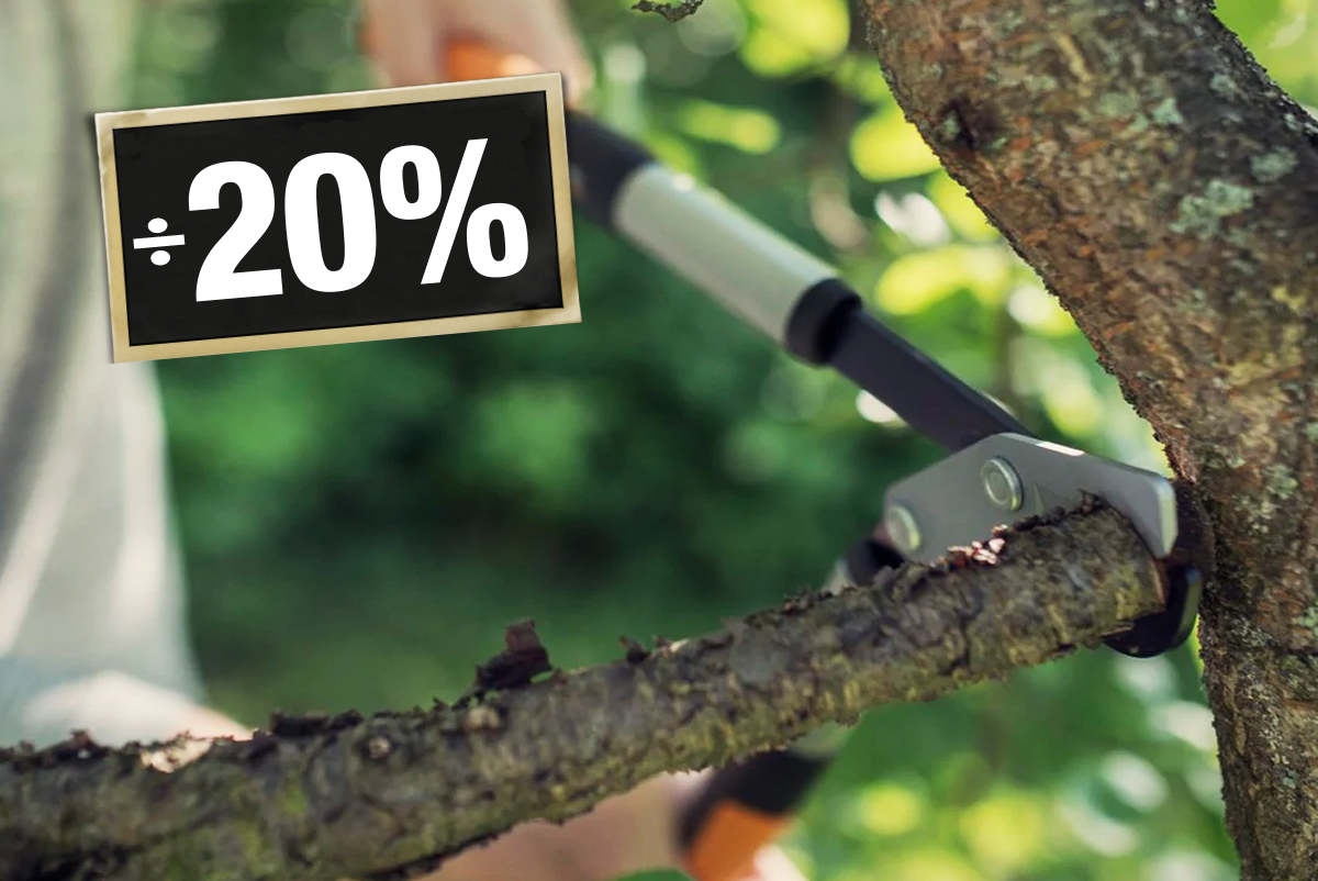 Fiskars